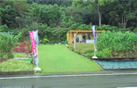 Medium_imgp3552  